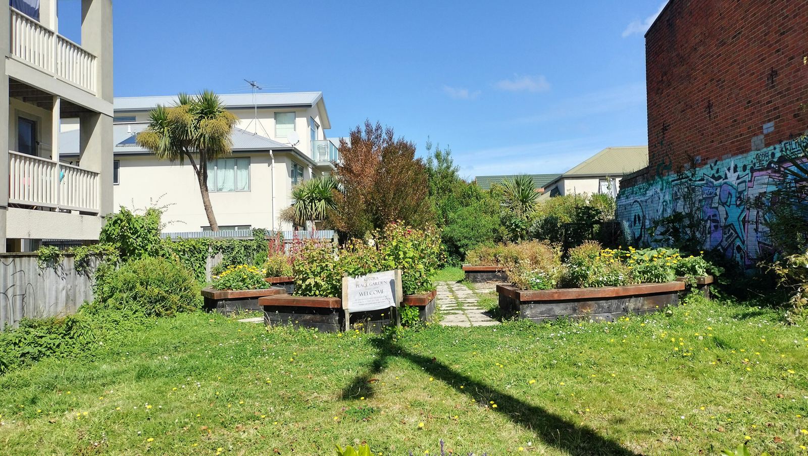 A small community garden with raised beds, flowering shrubs and a painted mural on a neighbouring wall